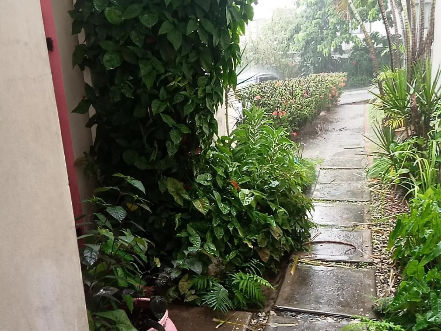 Bed & Breakfast Barbican Cozy Flat At Dillsbury Kingston